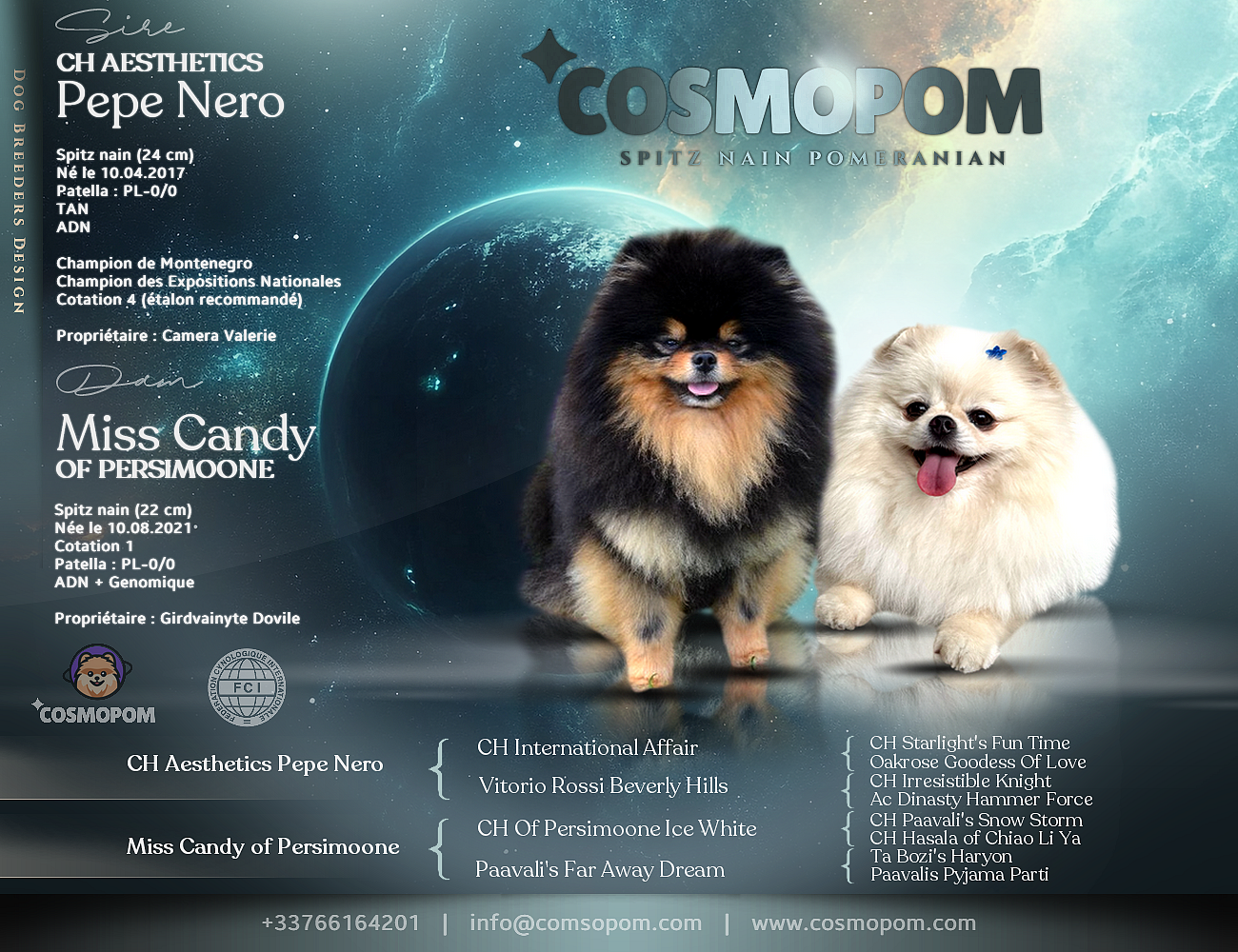 Naissance des chiots