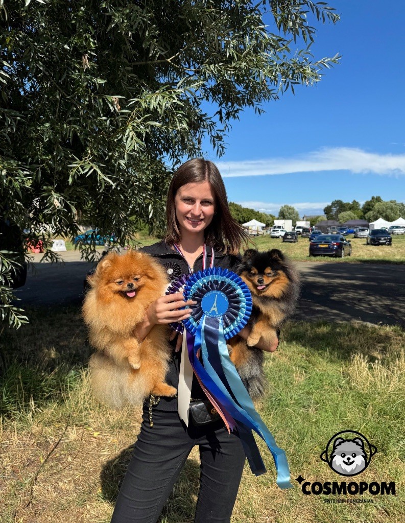 Concours canins 