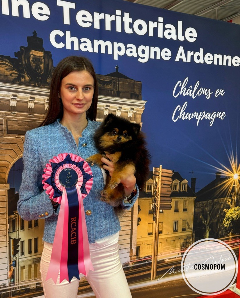 Concours canins 